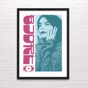 Bjork - Posterinc.cl