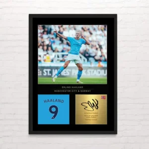 Haaland - Posterinc.cl