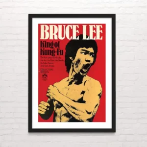 bruce lee - Posterinc.cl