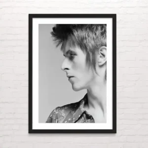 David Bowie - Posterinc.cl
