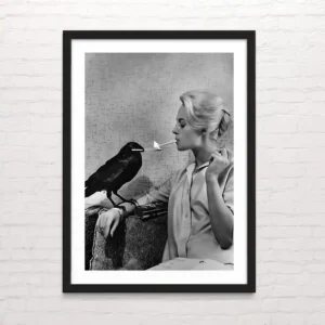 Alfred Hitchcock - The Birds - Posterinc.cl